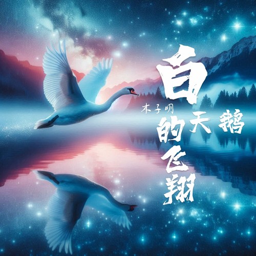 白天鹅的飞翔
