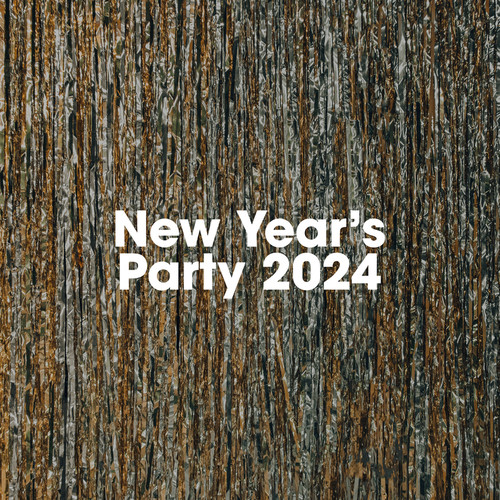 New Year’s Party 2024 (Explicit)