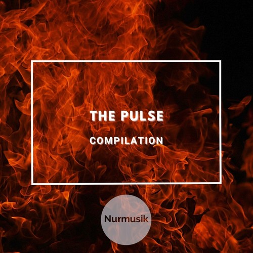 The Pulse