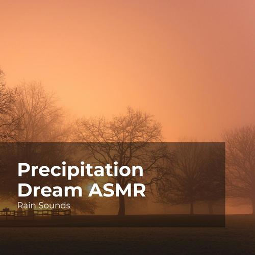 Precipitation Dream ASMR