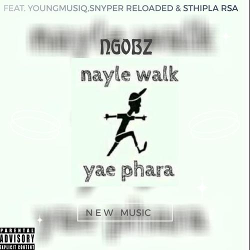 Nayle walk (To Tyler Icu,Nandipha 808 & Ceeka) (feat. Sthipla Rsa, Snyper Reloaded & Youngmusiq)