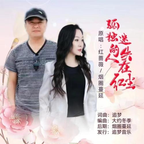 孤独的人迷失在红尘（对唱版）