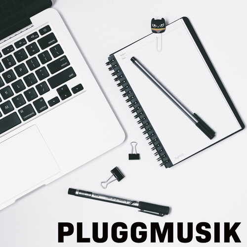 Pluggmusik (Explicit)