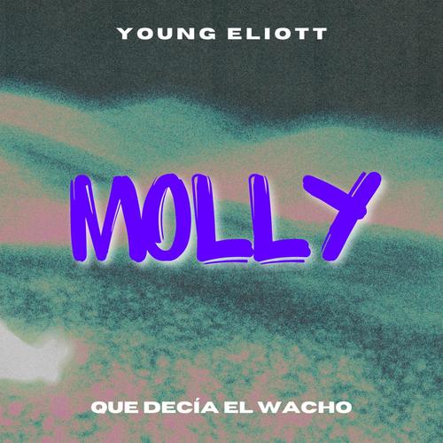 MOLLY (feat. LIL ROSE) [Explicit]