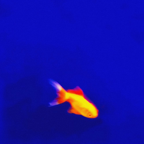 Flints (Explicit)