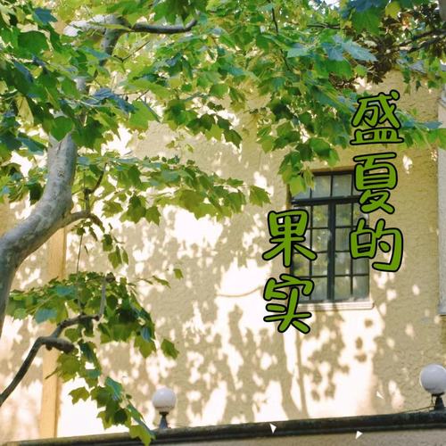 盛夏的果实 (也许放弃才能靠近你)