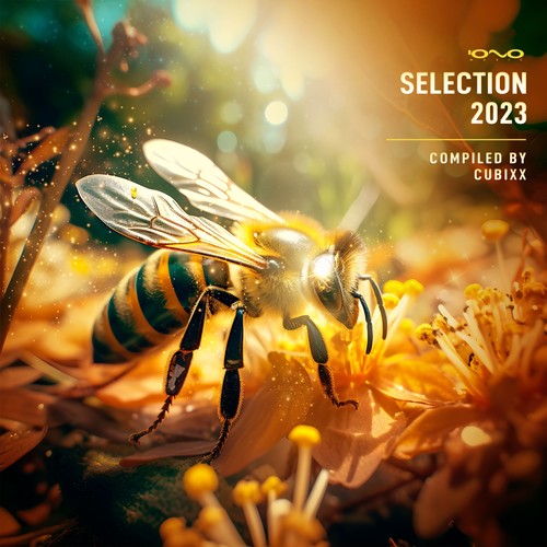 Selection 2023 (Explicit)