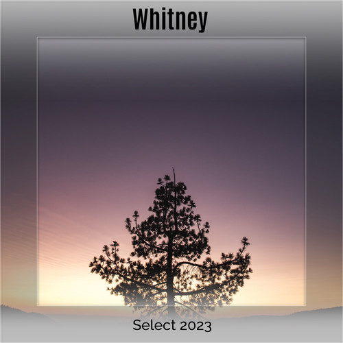 Whitney