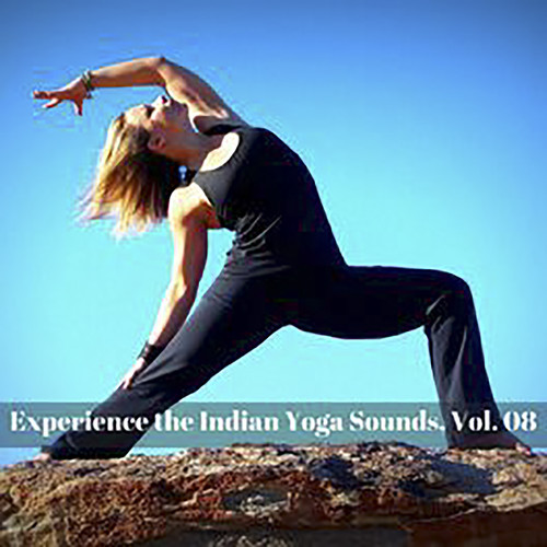 Experience The Indian Yoga Sounds, Vol. 08