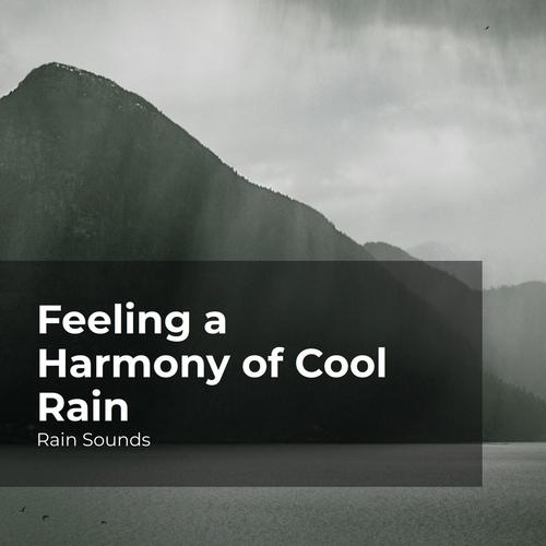 Feeling a Harmony of Cool Rain