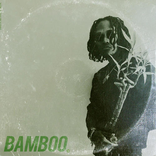 BAMBOO (Explicit)