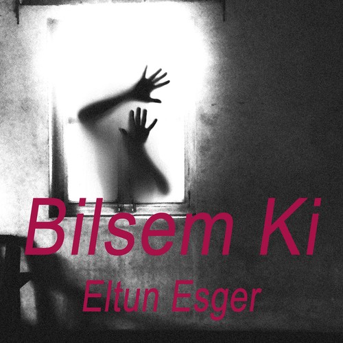 Bilsem Ki