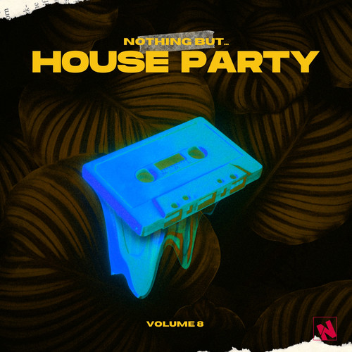 Nothing But... House Party, Vol. 08 (Explicit)