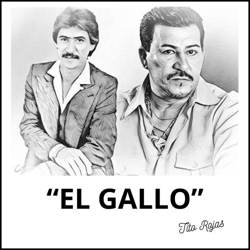 El Gallo Salsero