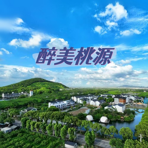 醉美桃源
