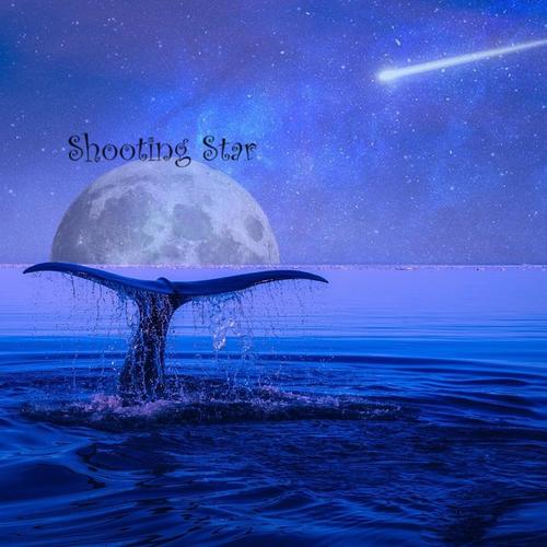 SHOOTING STAR