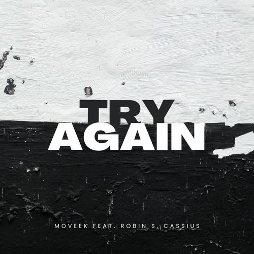 Try Again (feat. Cassius & Robin S)