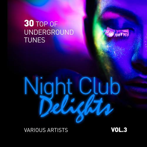 Night Club Delights (30 Top of Underground Tunes), Vol. 3