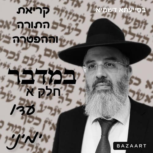קריאת התורה לפרשת השבוע פרשת במדבר חלק א (Explicit)