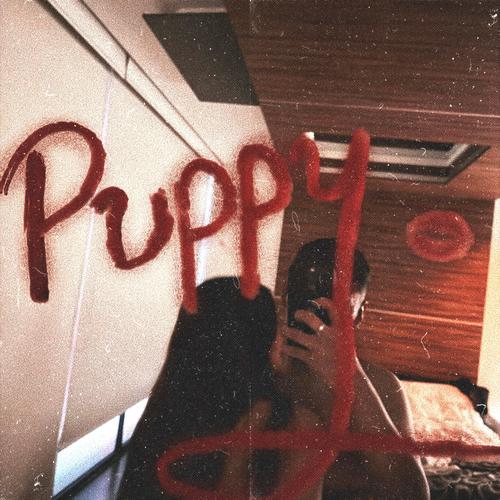 Puppy (feat. Dj Kaos)