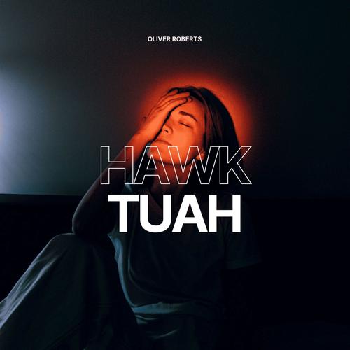 Hawk Tuah (Techno Remix) [Explicit]