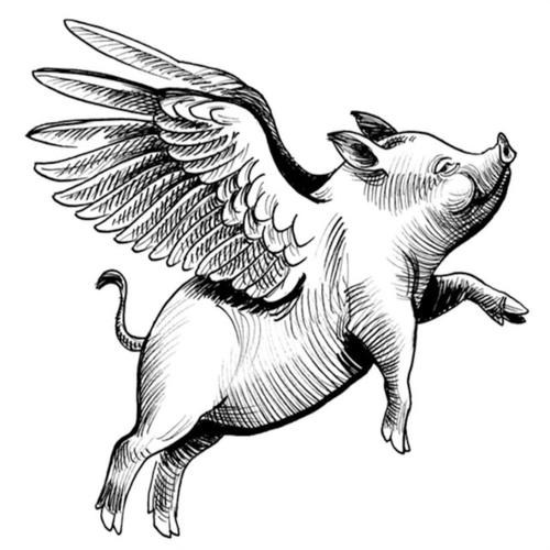 When Pigs Fly