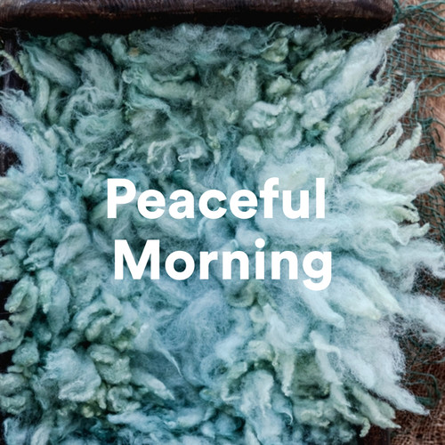 Peaceful Morning (Explicit)