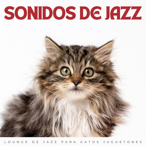 Sonidos De Jazz: Lounge De Jazz Para Gatos Juguetones