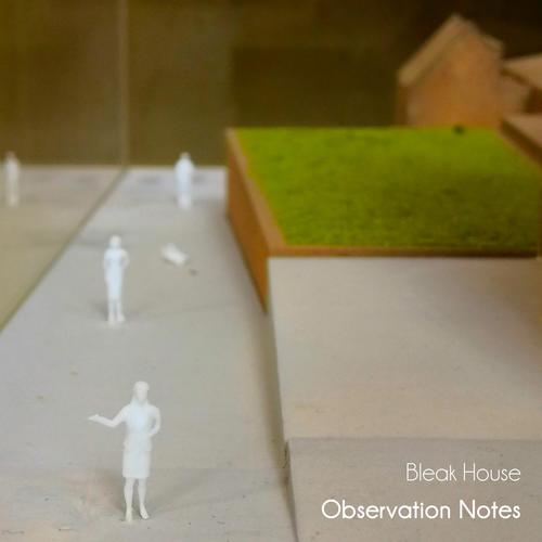 Observation Notes