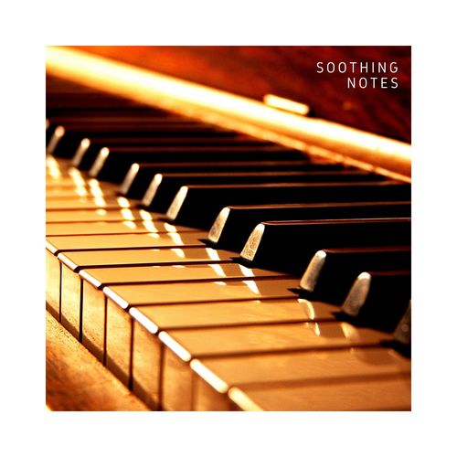 Soothing Notes: Chill Piano Music