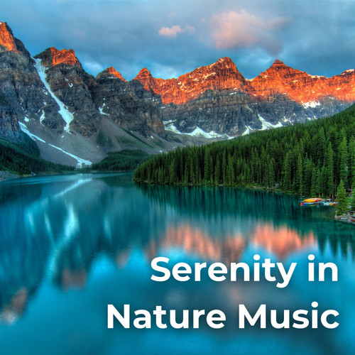 Serenity in Nature Music