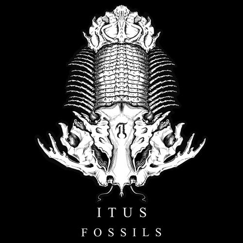 Fossils