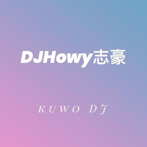 DJHowy志豪2021串烧精选集