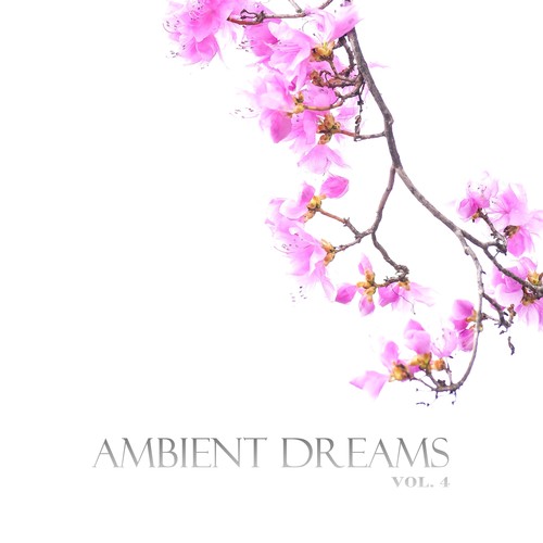 Ambient Dreams, Vol. 4