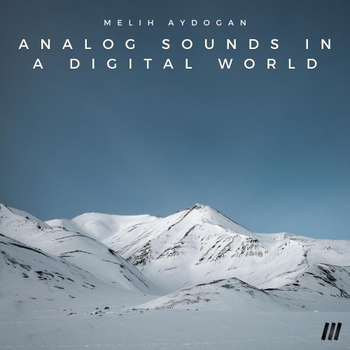 Analog Sounds in a Digital World