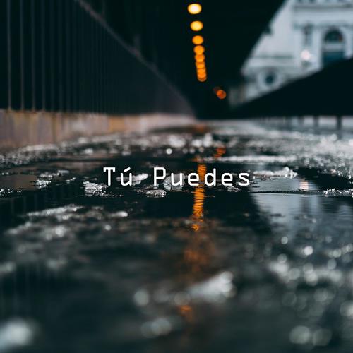 Tu Puedes