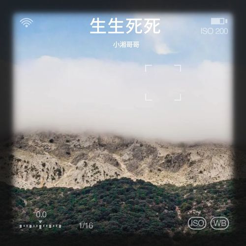 生生死死