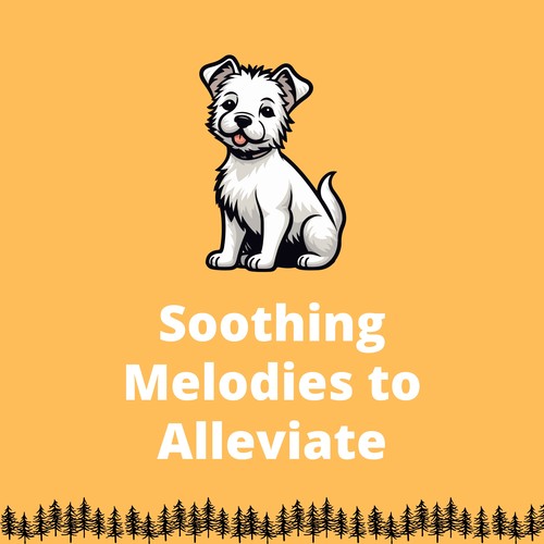 Soothing Melodies to Alleviate Your Dog's Stress and Anxiety