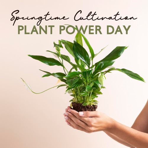 Springtime Cultivation, Plant Power Day