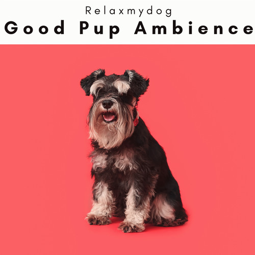 2 0 2 3 Good Pup Ambience