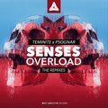 Senses Overload (The Remix)