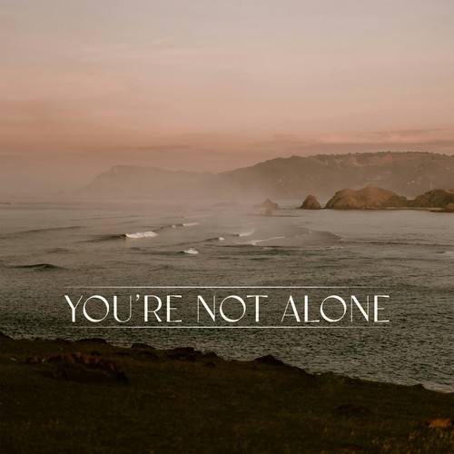 You're Not Alone (James Carter Remix)