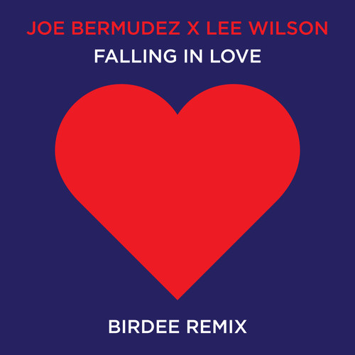 Falling In Love (Birdee Remix)