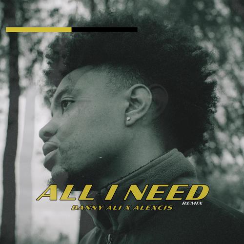 all i need (feat. Alexcis) [Remix]