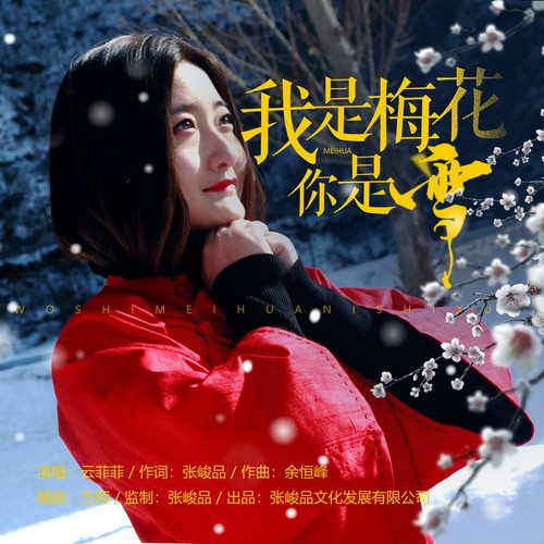 我是梅花你是雪