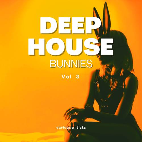 Deep-House Bunnies, Vol. 3 (Explicit)