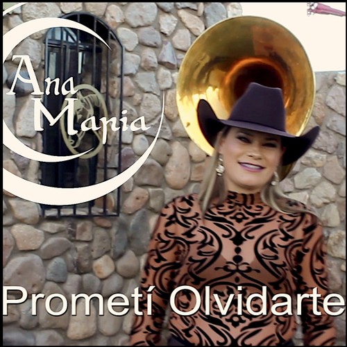 Prometí Olvidarte