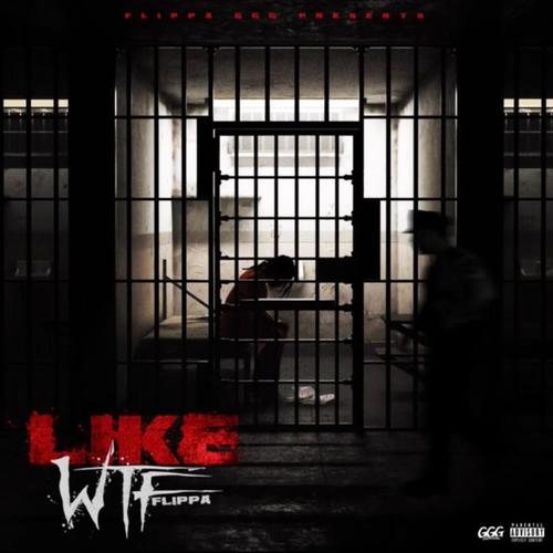 Like WTF (Explicit)