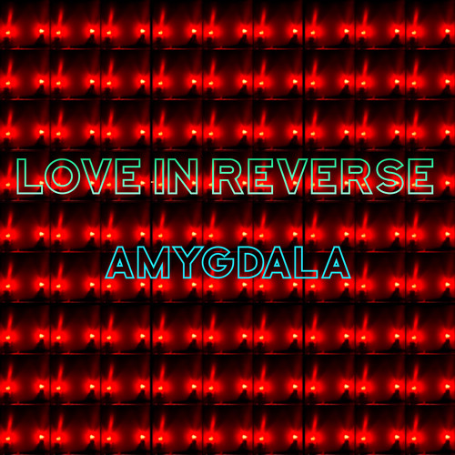Amygdala