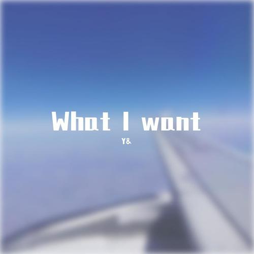 What I want